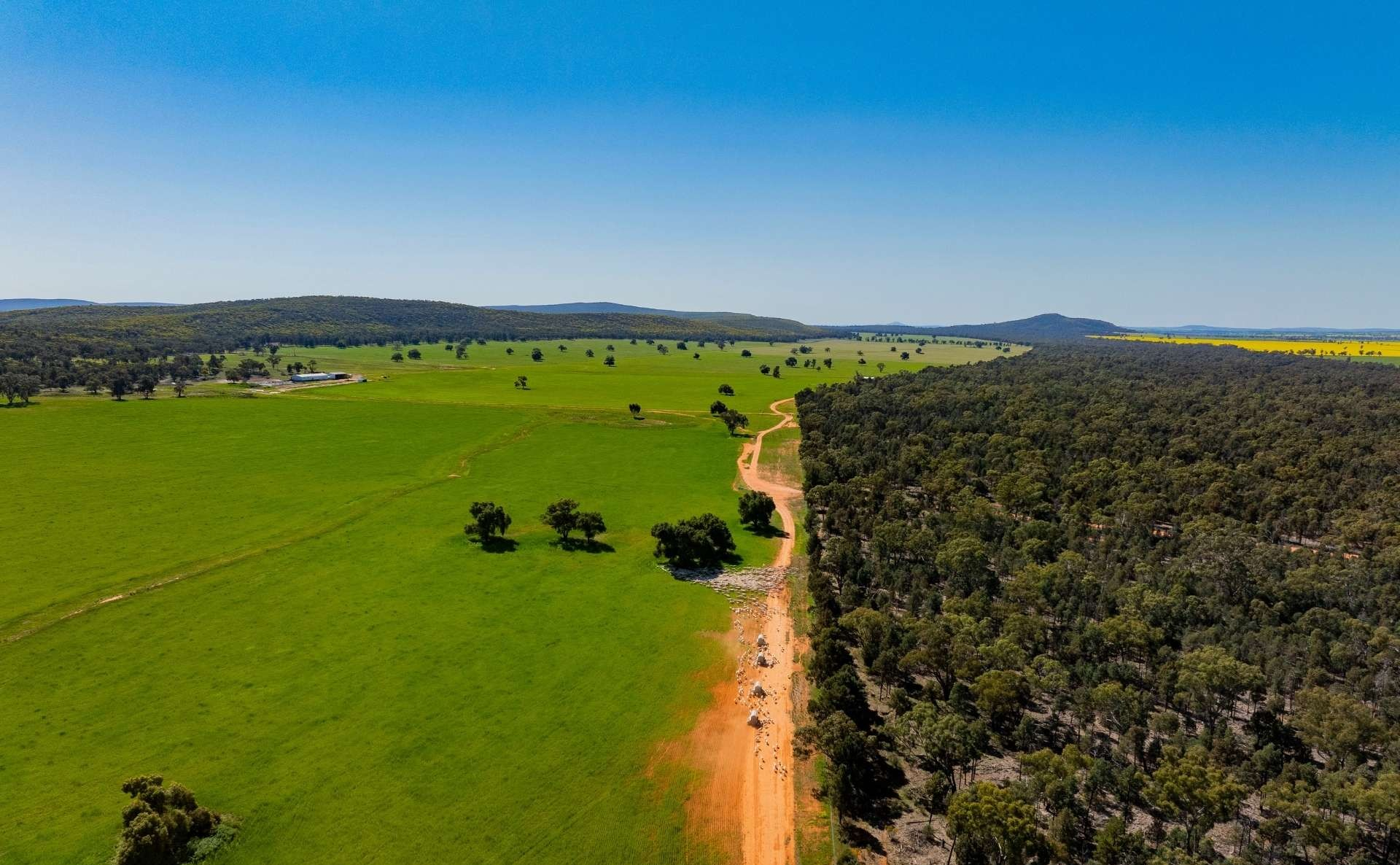 farm for sale NSW