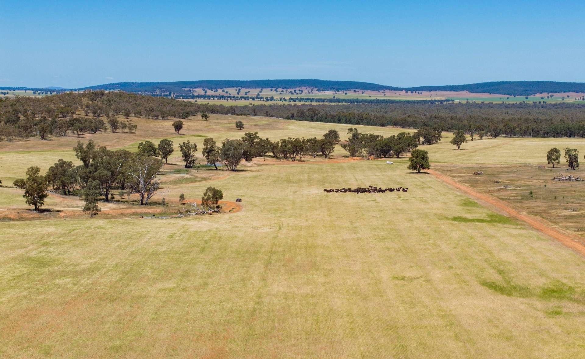 farm for sale NSW