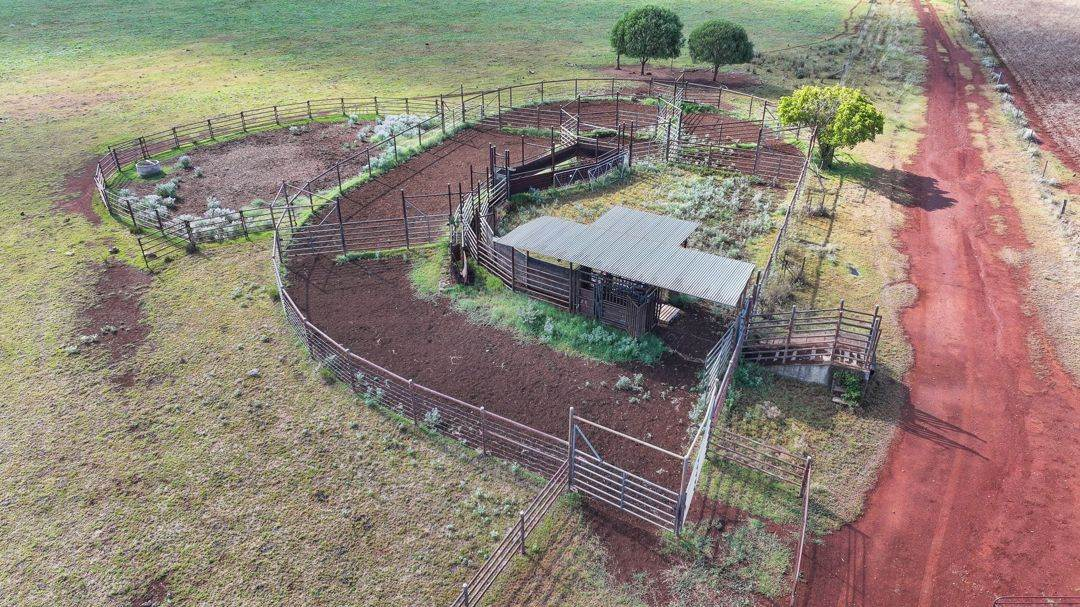 Farm For Sale NSW