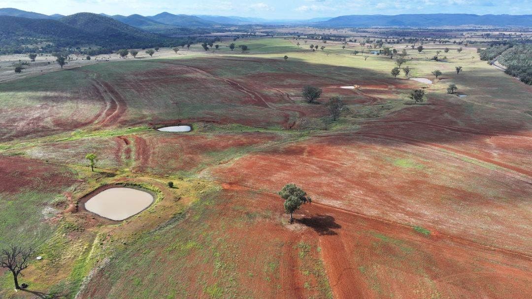 Farm For Sale NSW