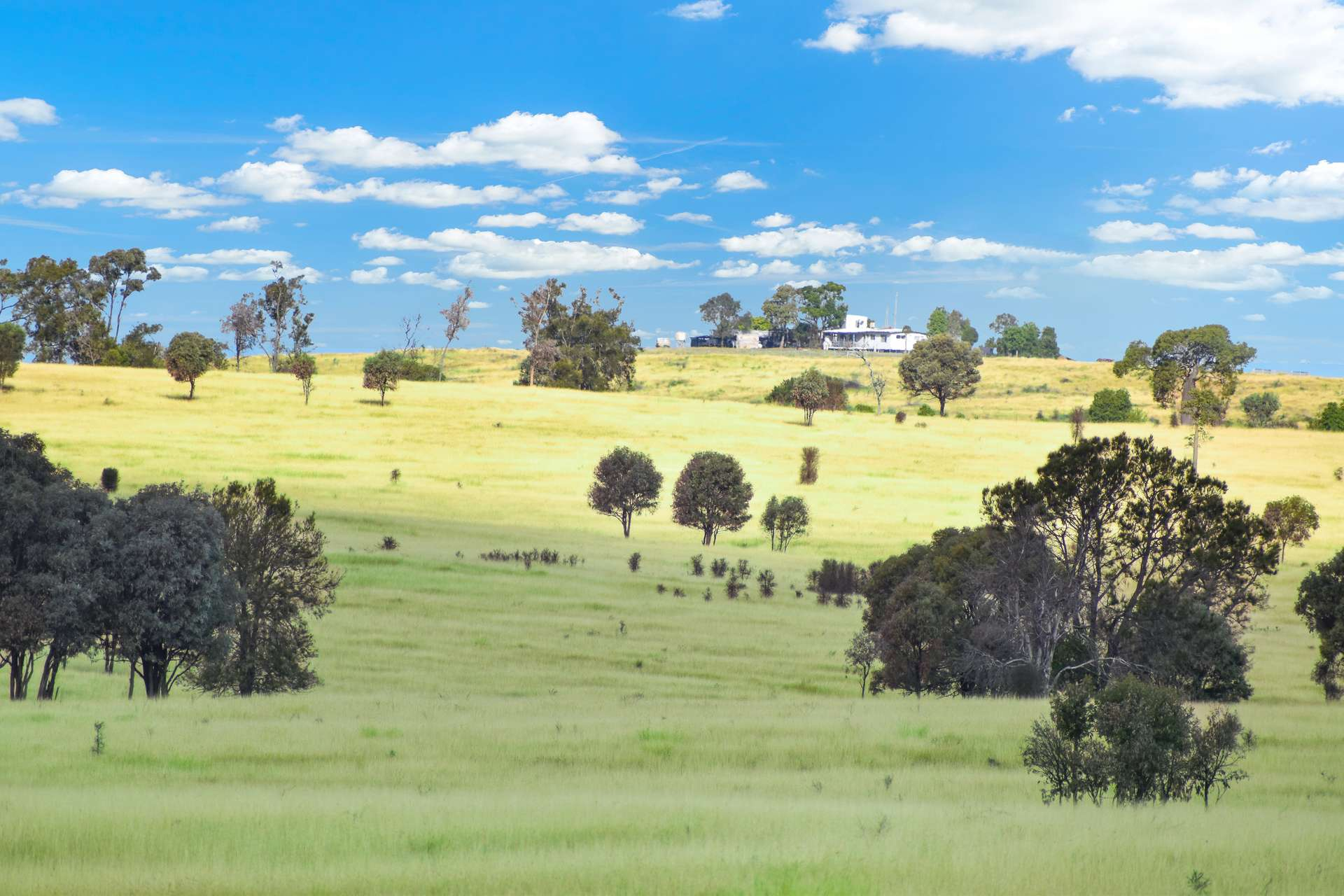 cattle property for sale QLD