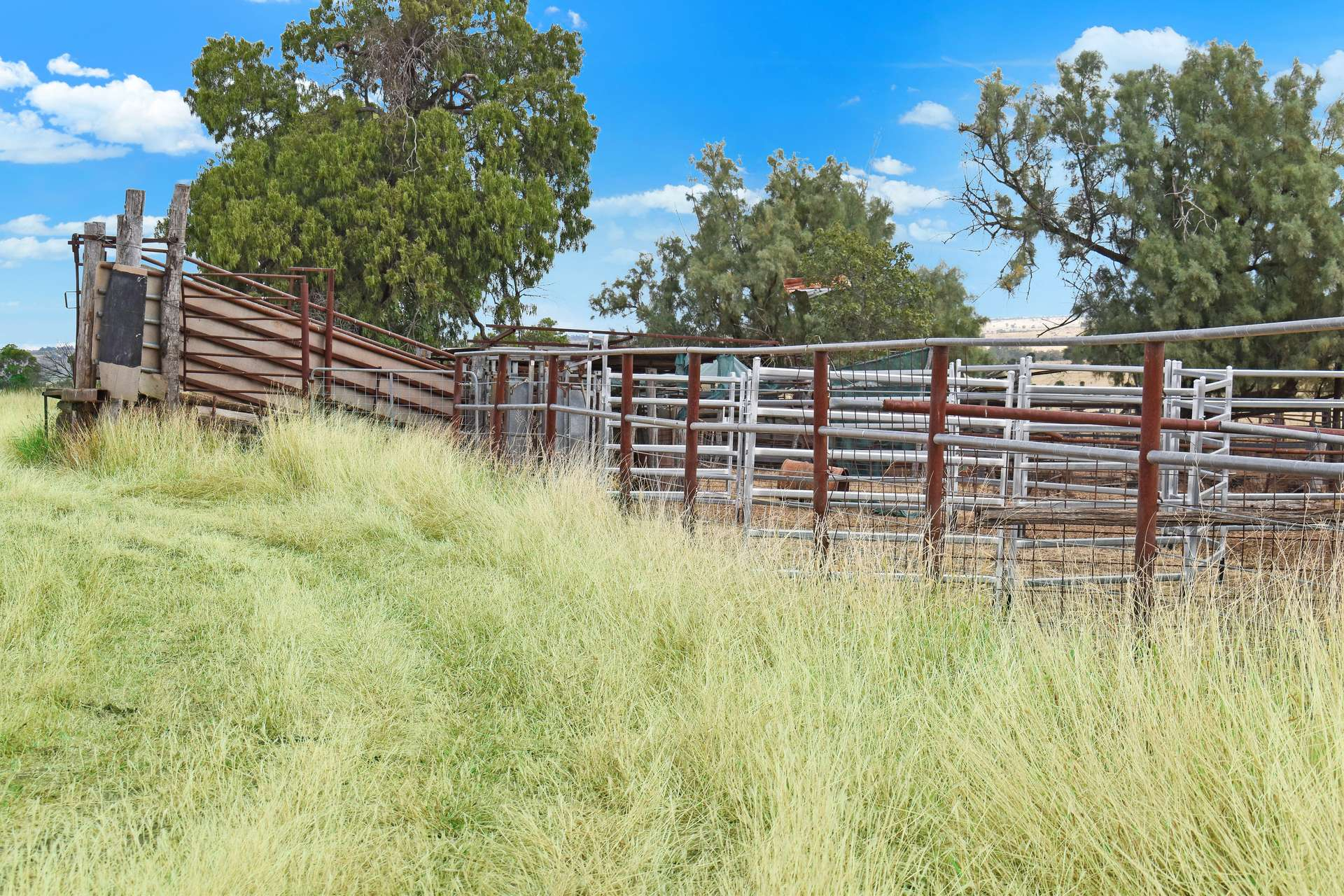 cattle property for sale QLD