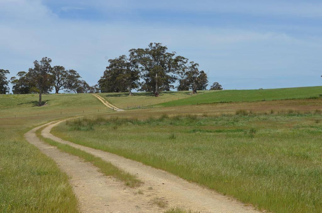 Farm Houses For Sale Limestone Coast SA