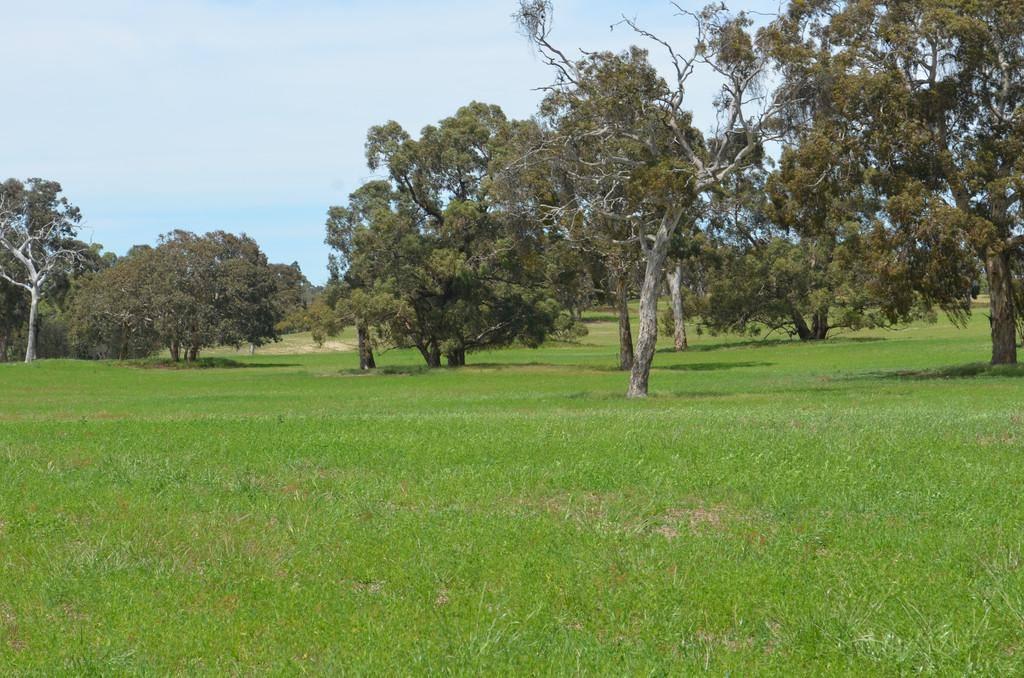 Farm Houses For Sale Limestone Coast SA