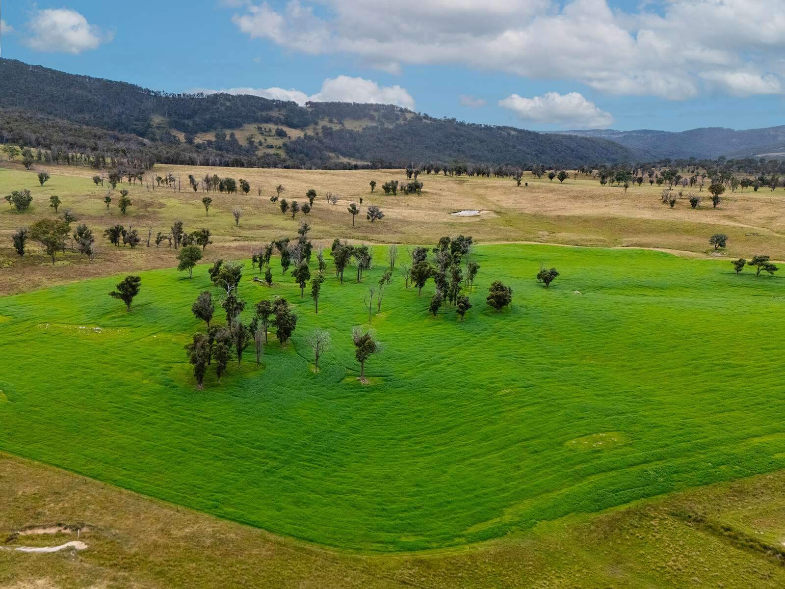 rural property for sale NSW