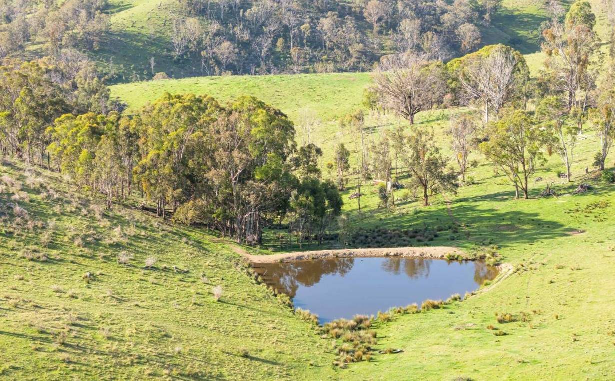 Rural Property For Sale Northern NSW