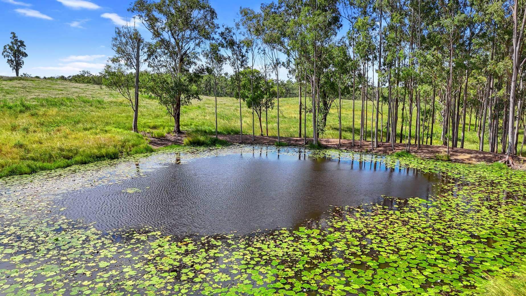 Rural Property For Sale QLD