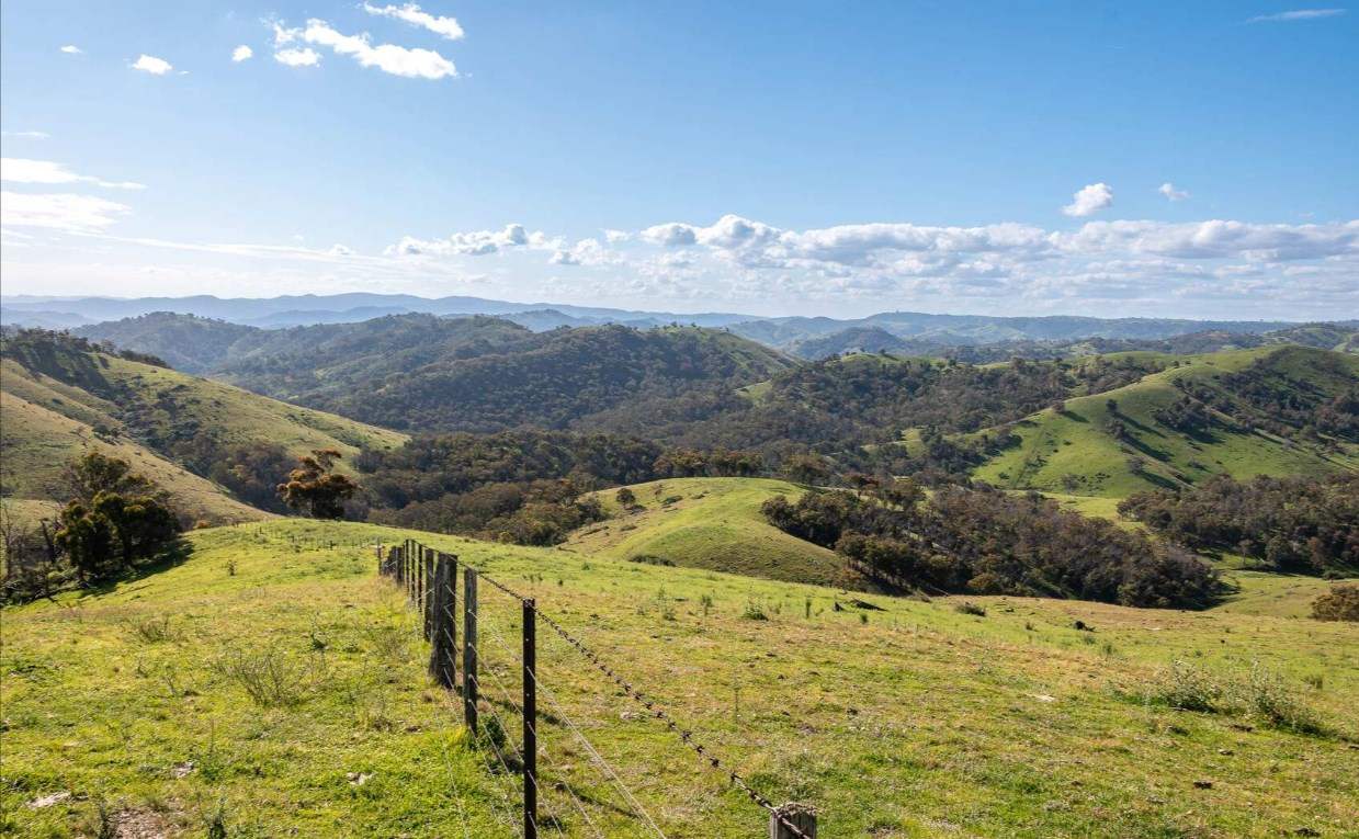 Rural Property For Sale Northern NSW