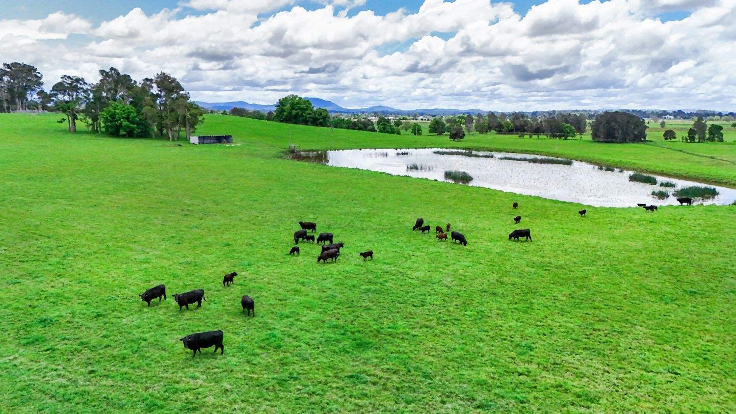 Rural Property For Sale Mid North Coast NSW