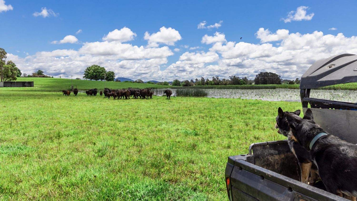 Rural Property For Sale Mid North Coast NSW