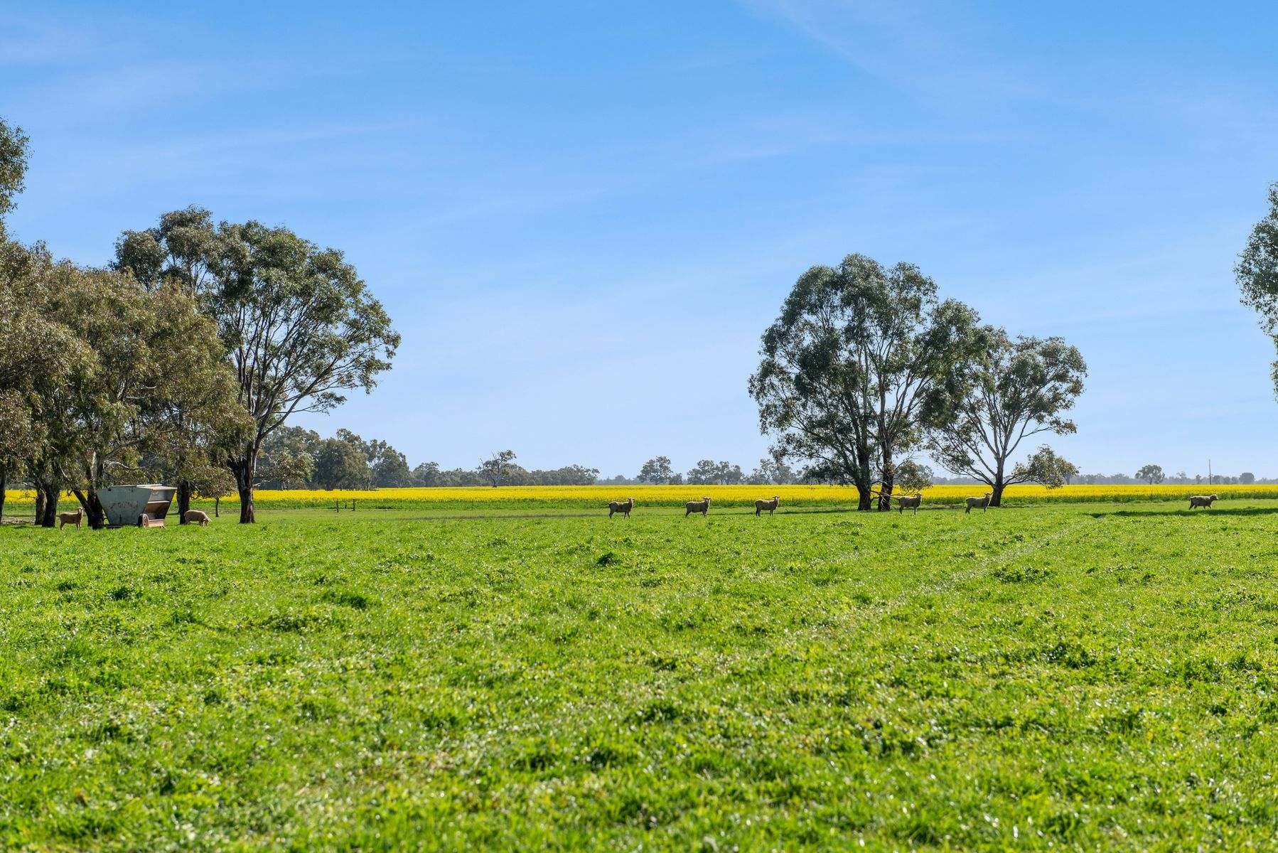 rural property for sale VIC
