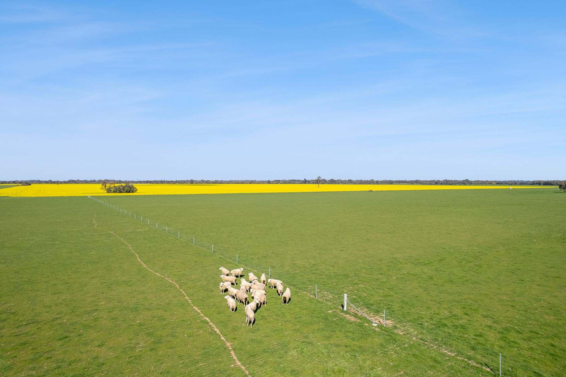 rural property for sale VIC