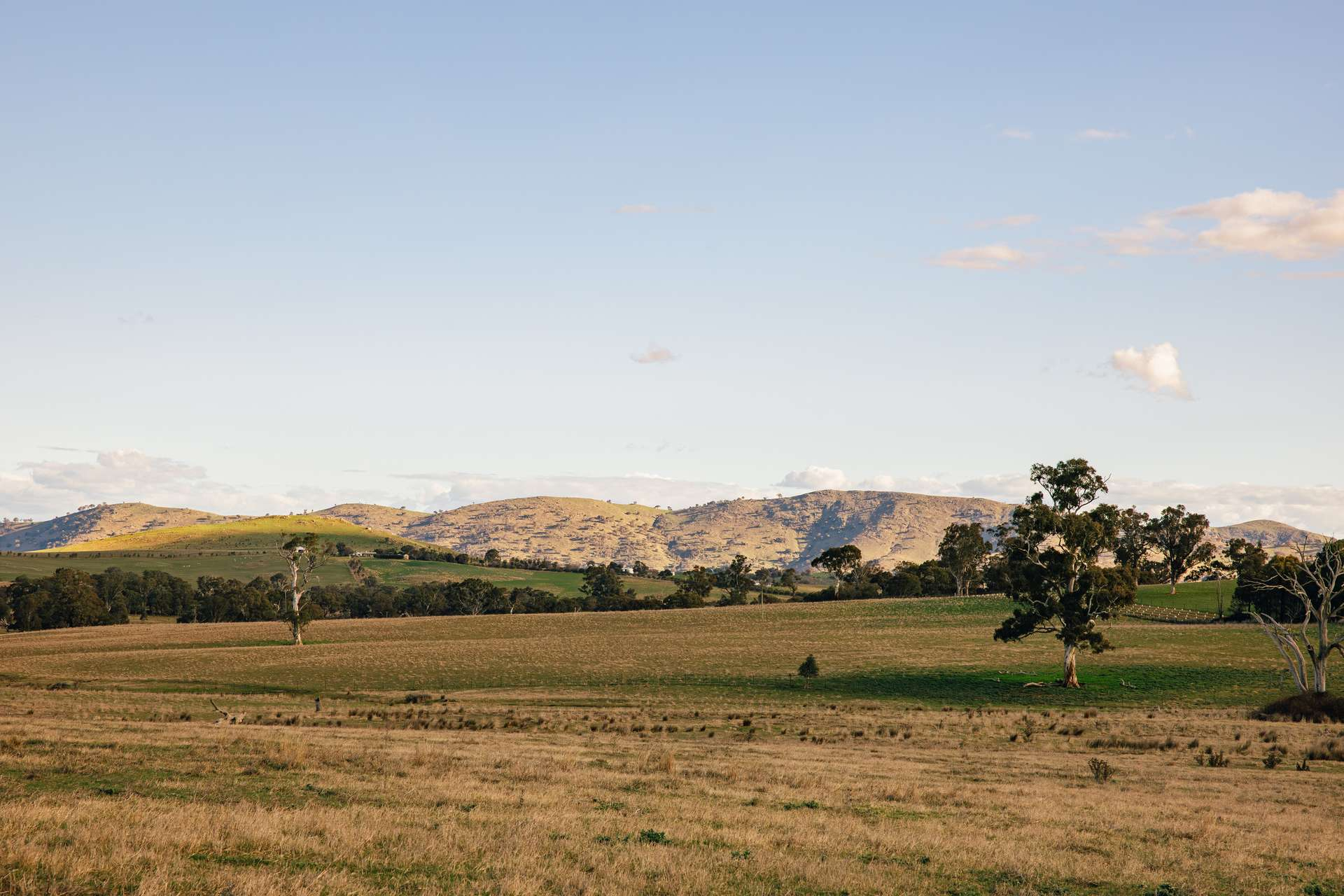 rural property for sale NSW