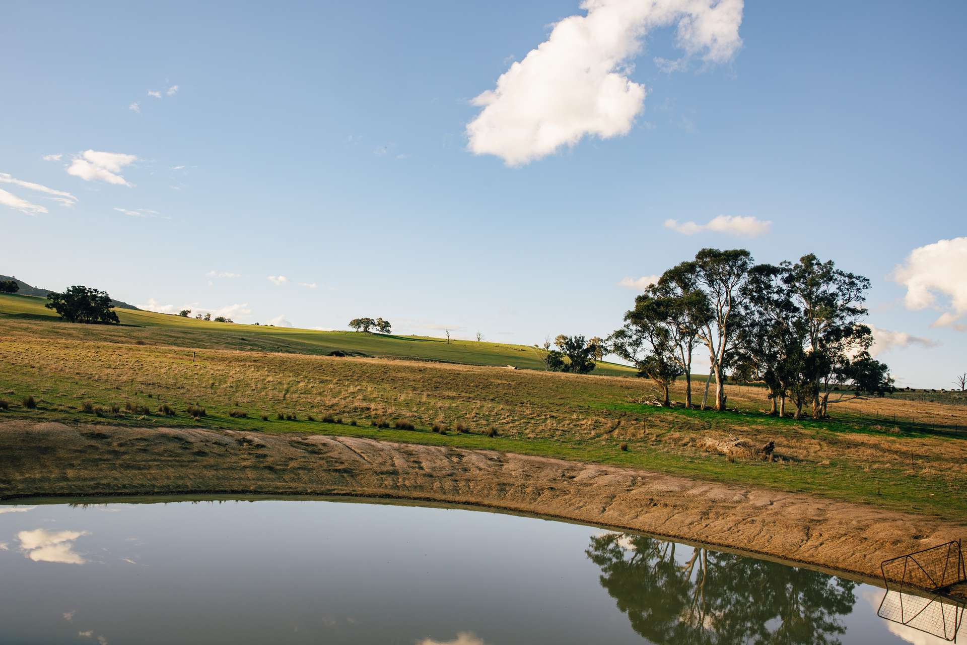 rural property for sale NSW