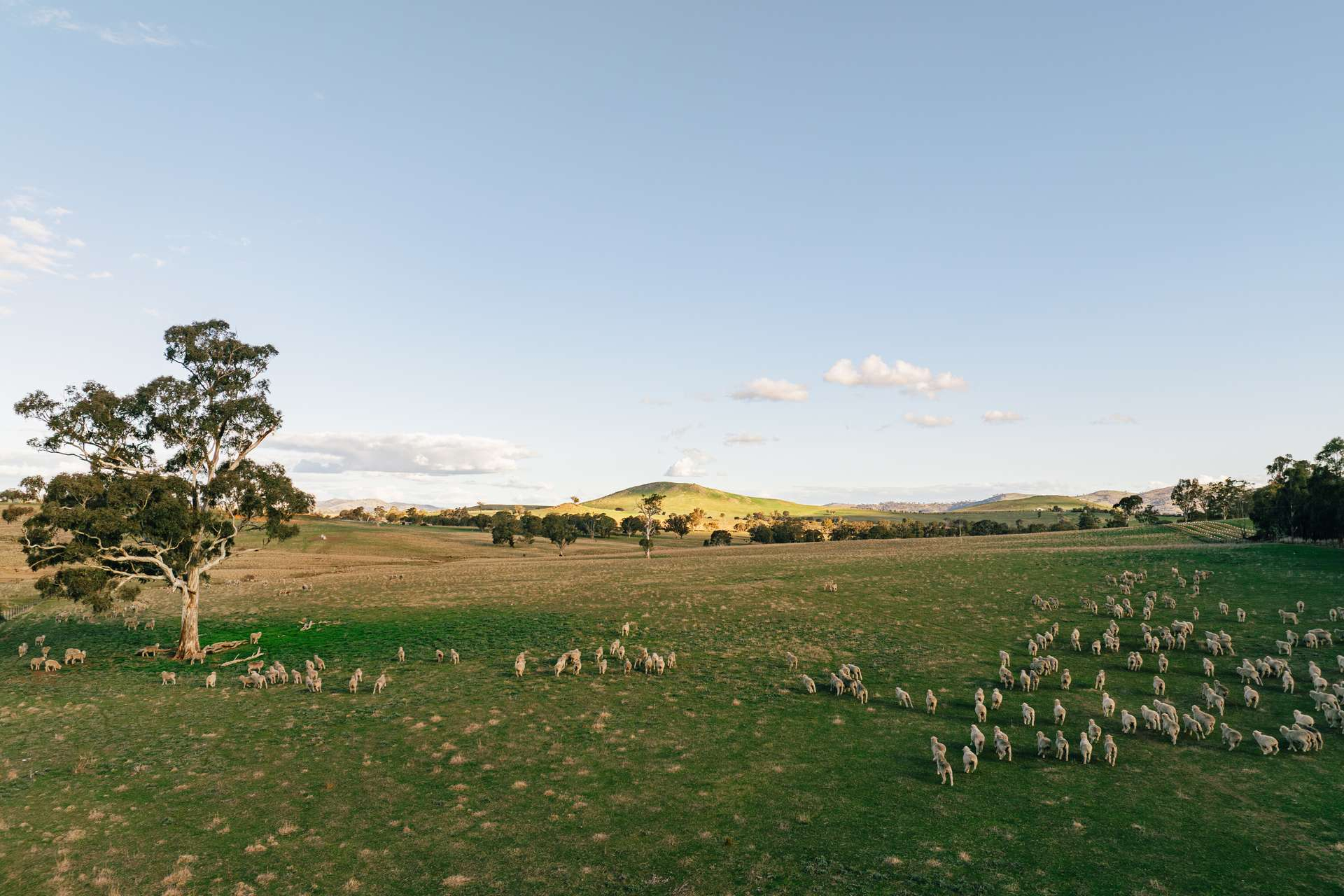 rural property for sale NSW