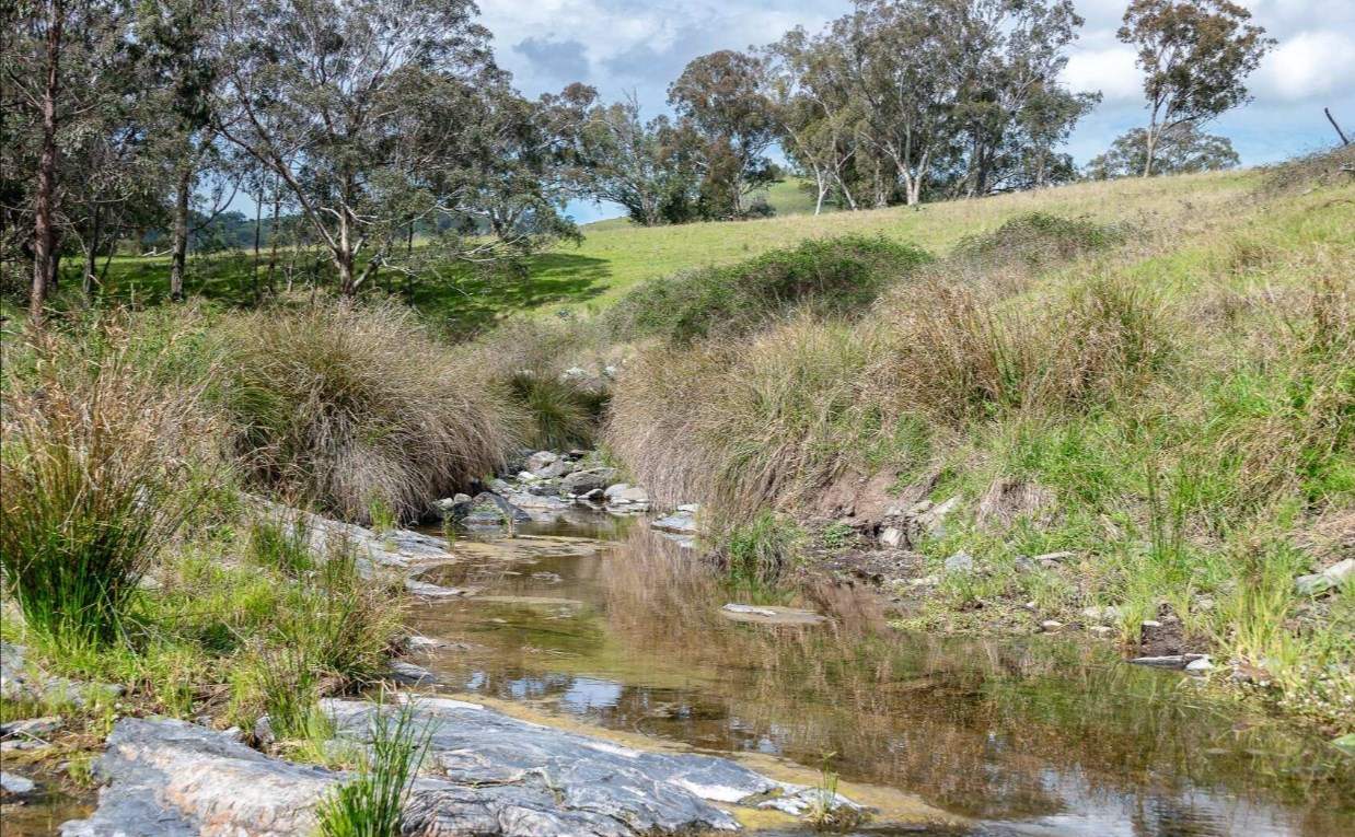 rural property for sale Northern NSW