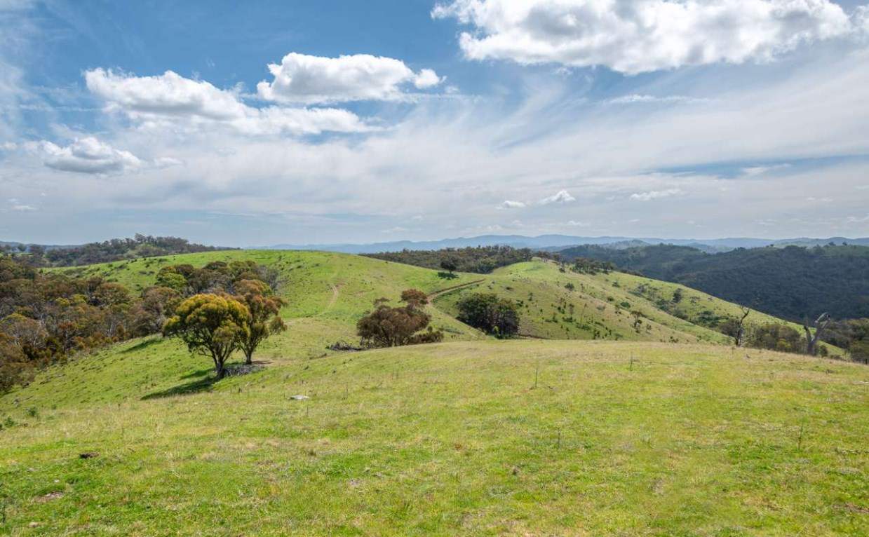 Rural Property For Sale Northern NSW