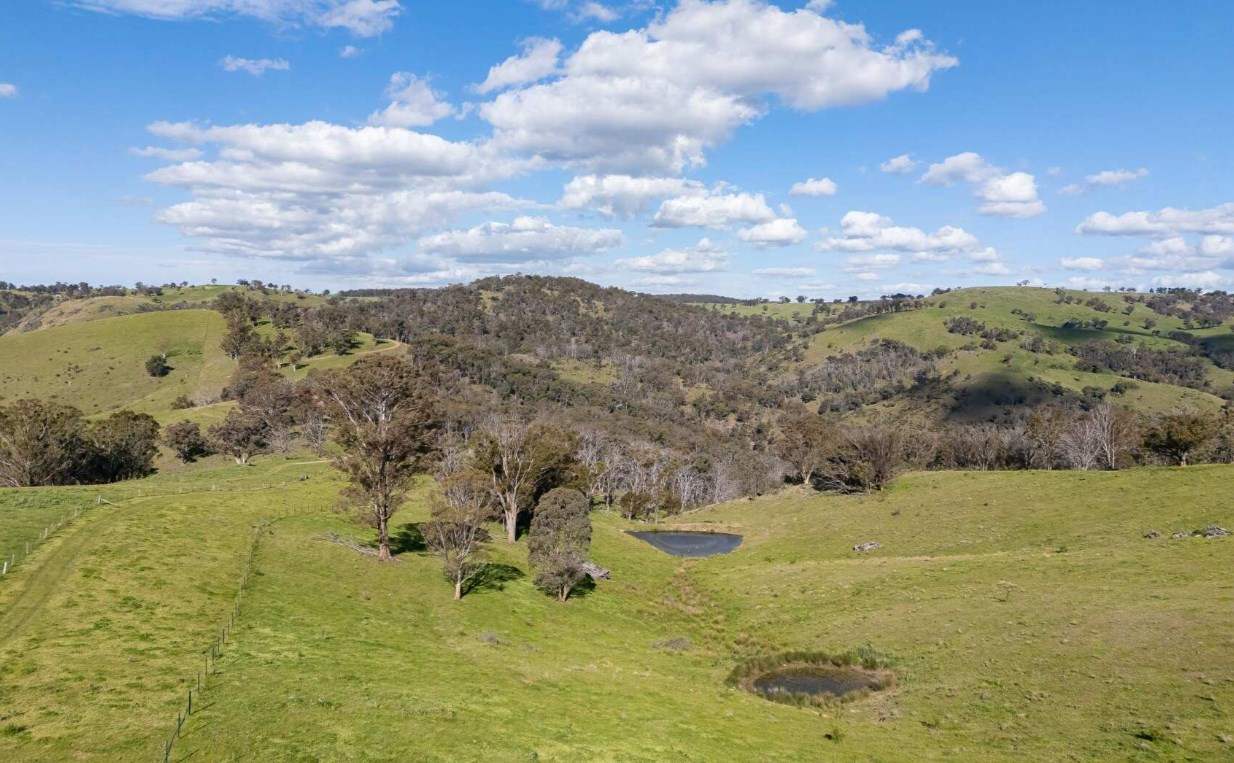 Rural Property For Sale Northern NSW