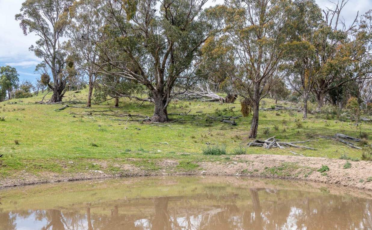 Rural Property For Sale Northern NSW