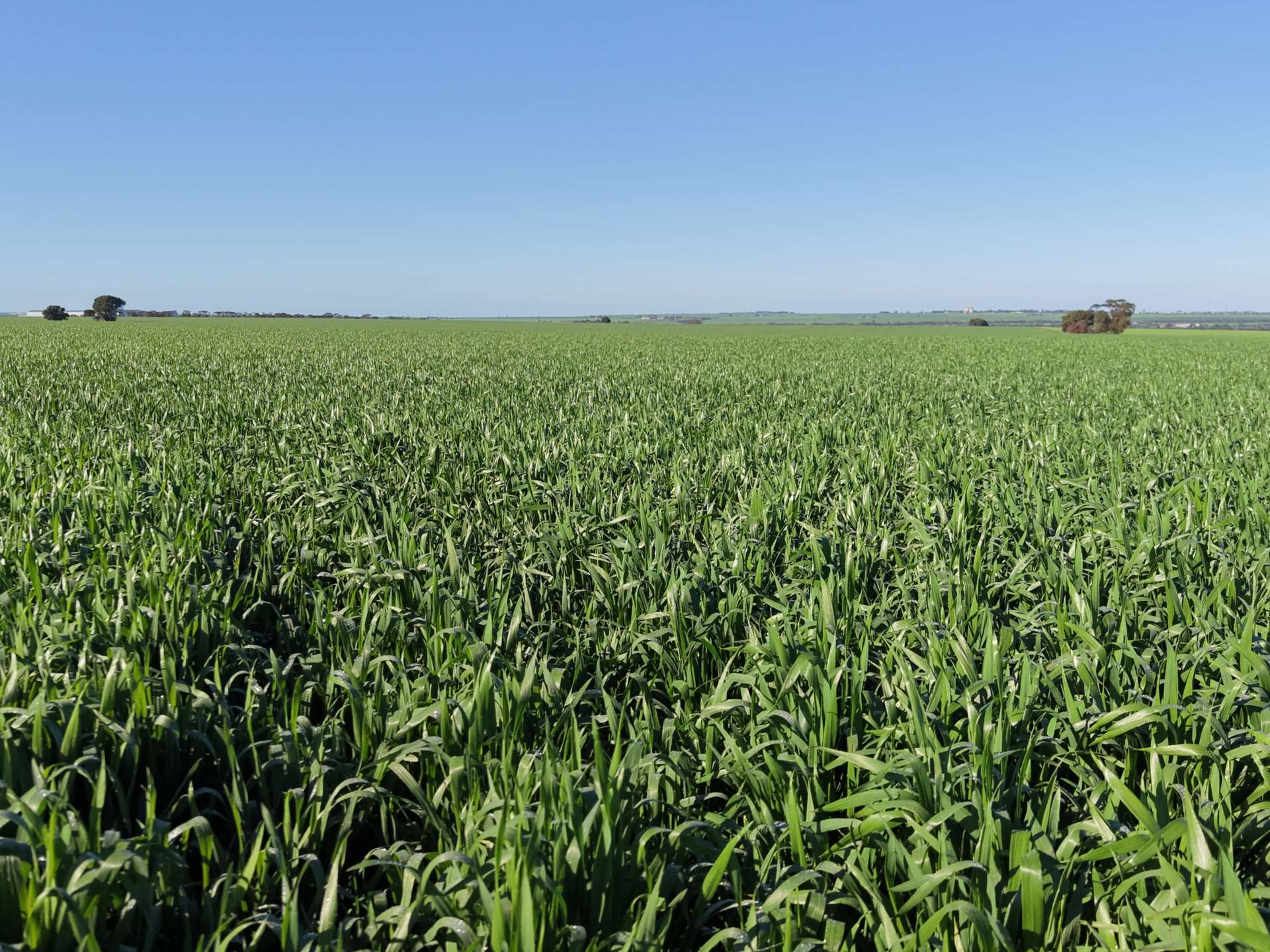 farm for sale SA