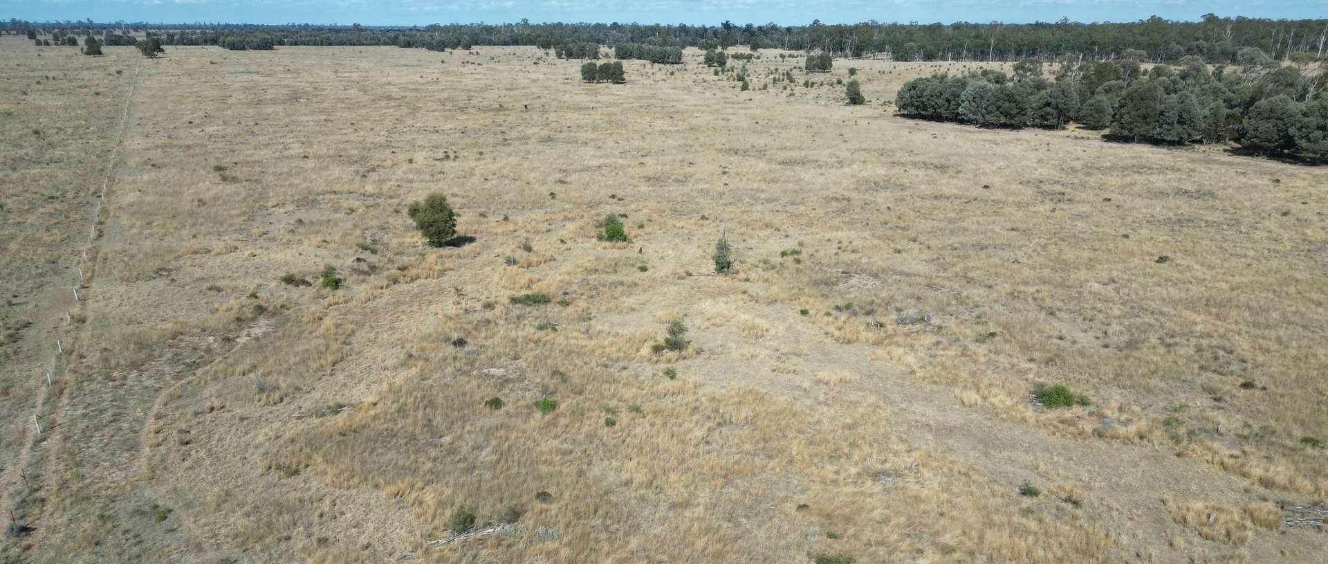 Cattle Property For Sale QLD