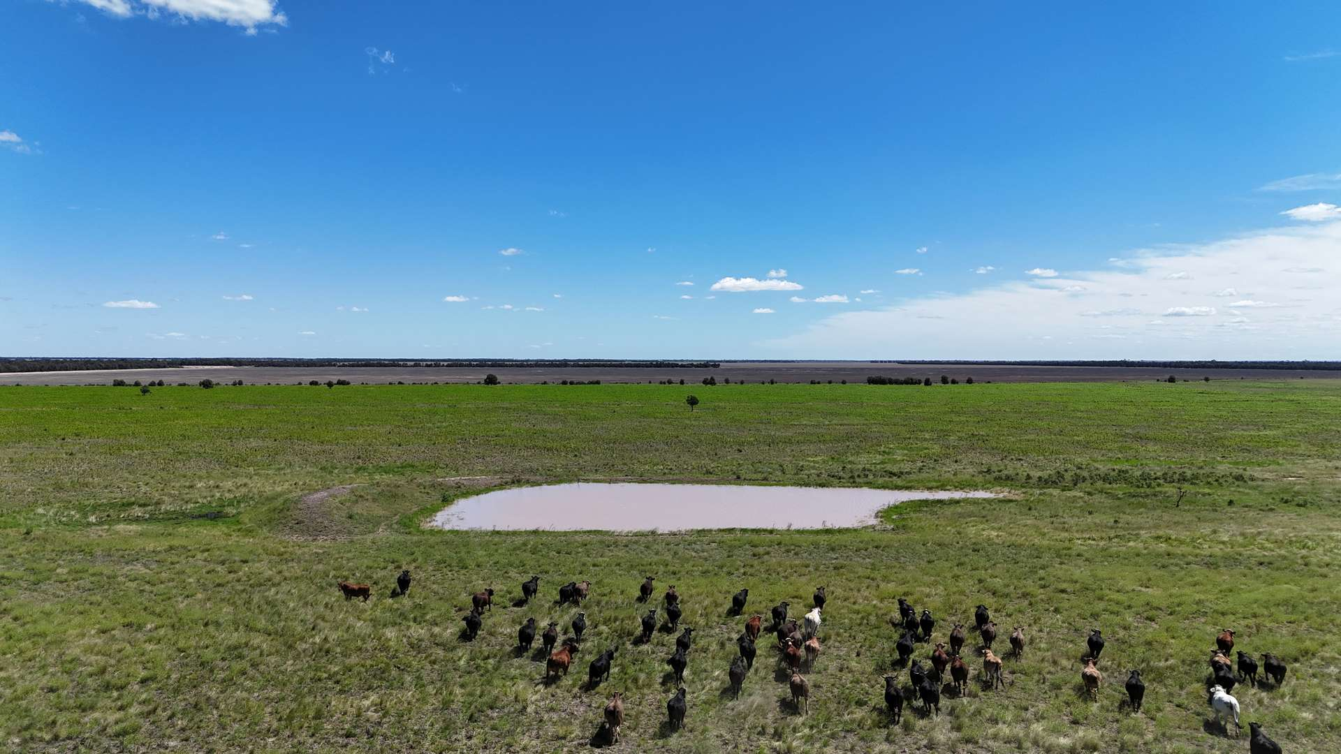 cattle property for sale QLD