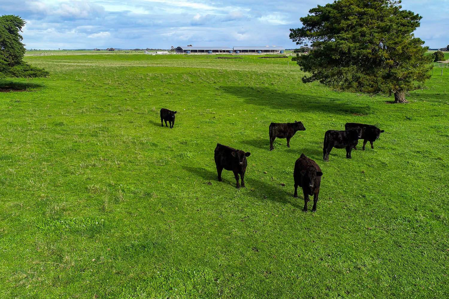 rural property for sale SA