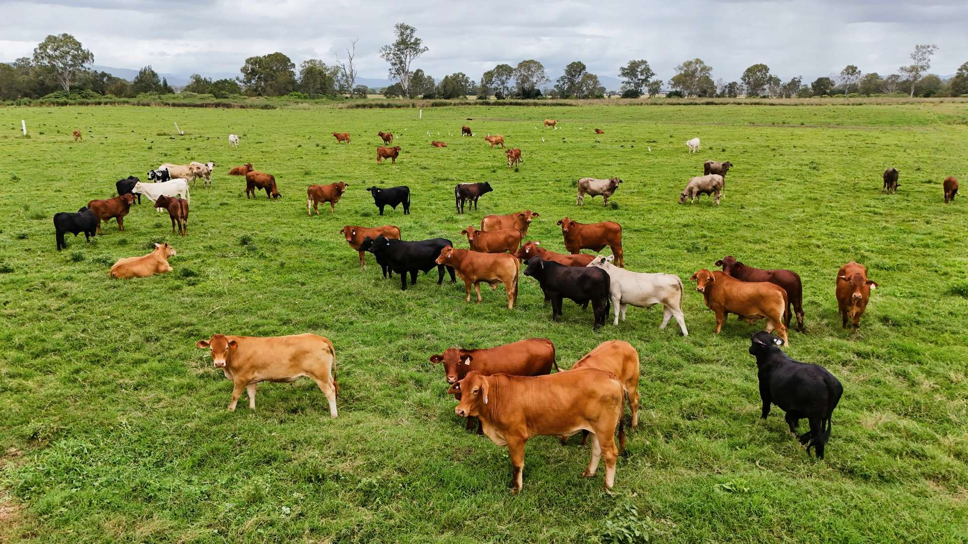 rural property for sale QLD