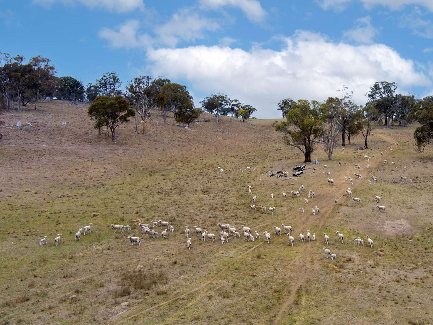 This rural property for sale NSW