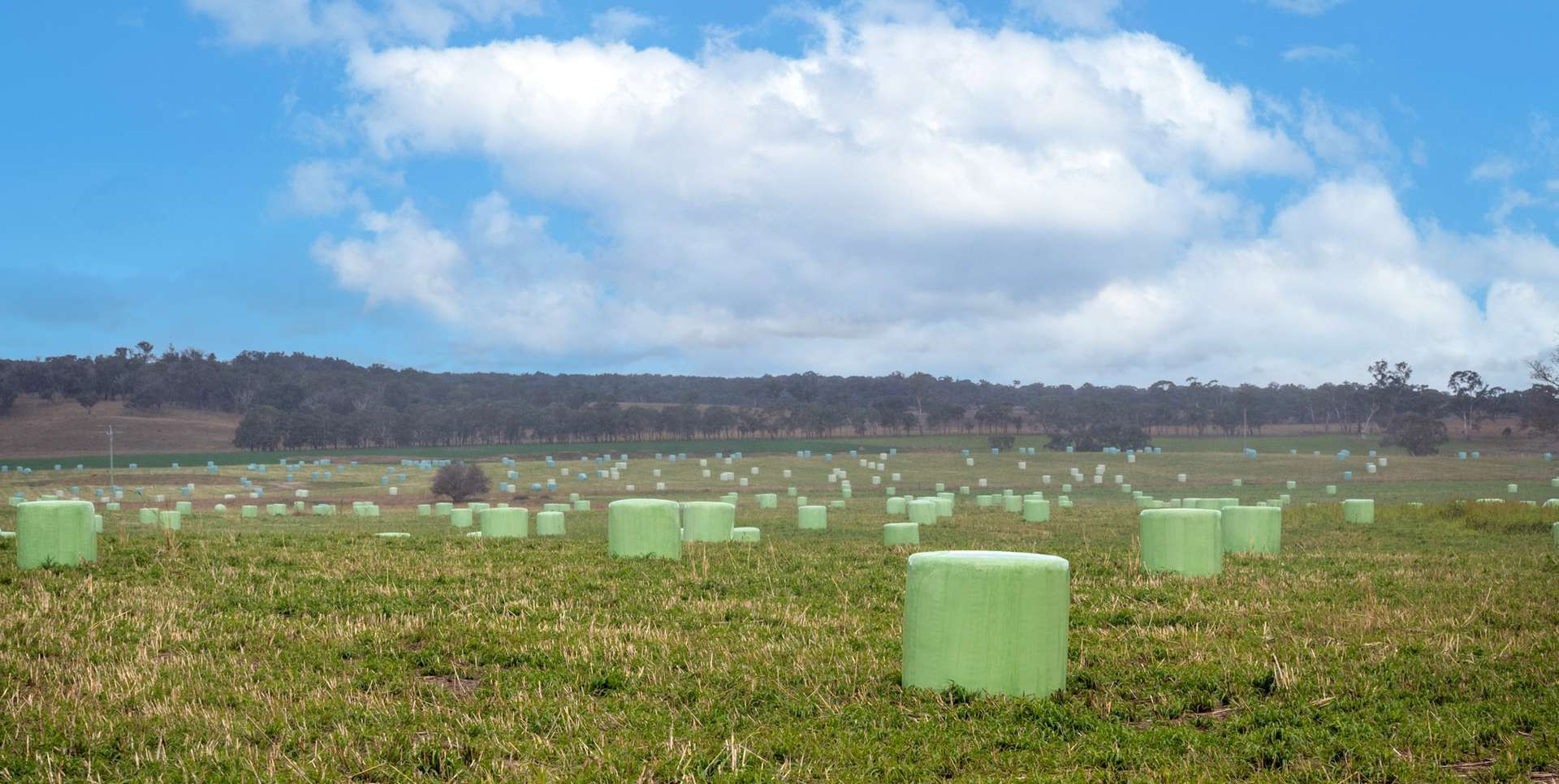 rural property for sale NSW