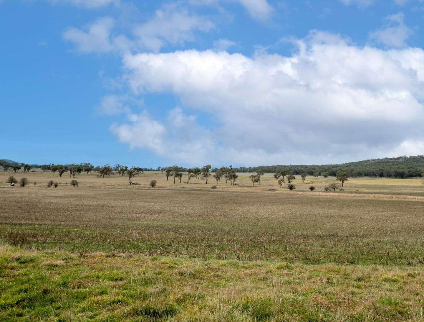 rural property for sale NSW