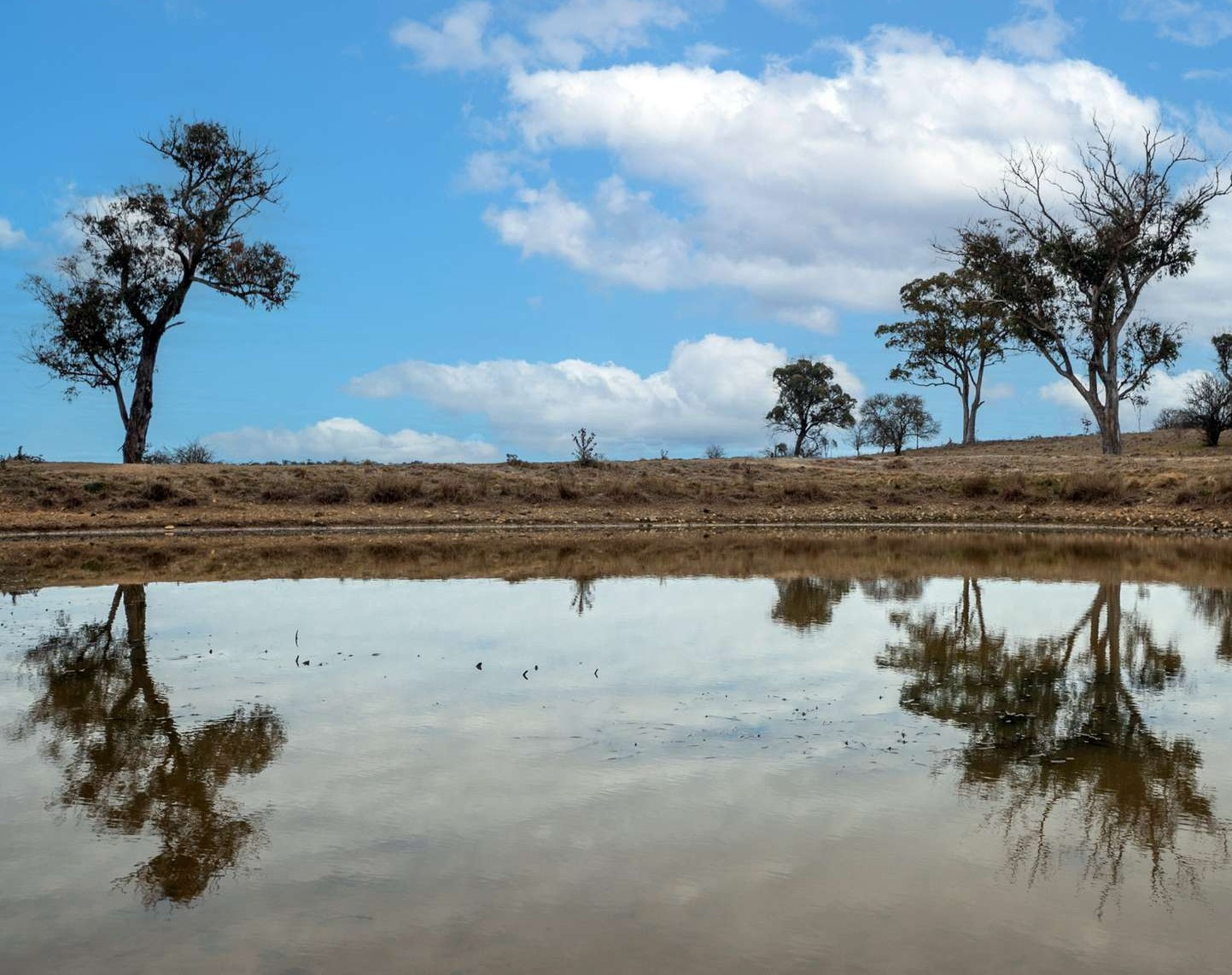 rural property for sale NSW