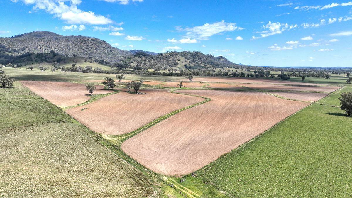 Rural Property For Sale Tamworth