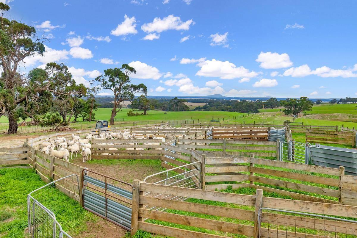 Luxurious Rural Properties For Sale VIC