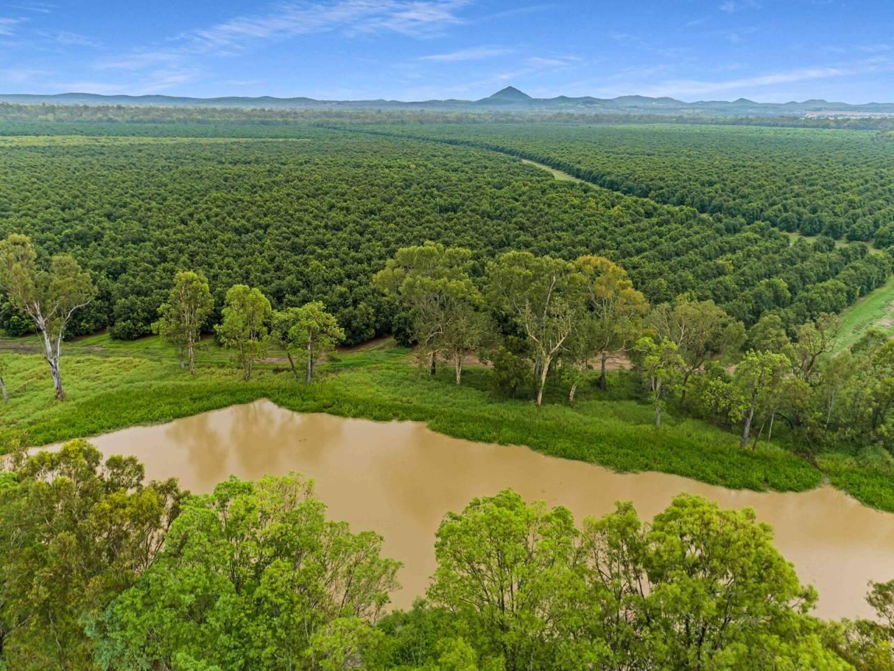 Macadamia Farm For Sale QLD