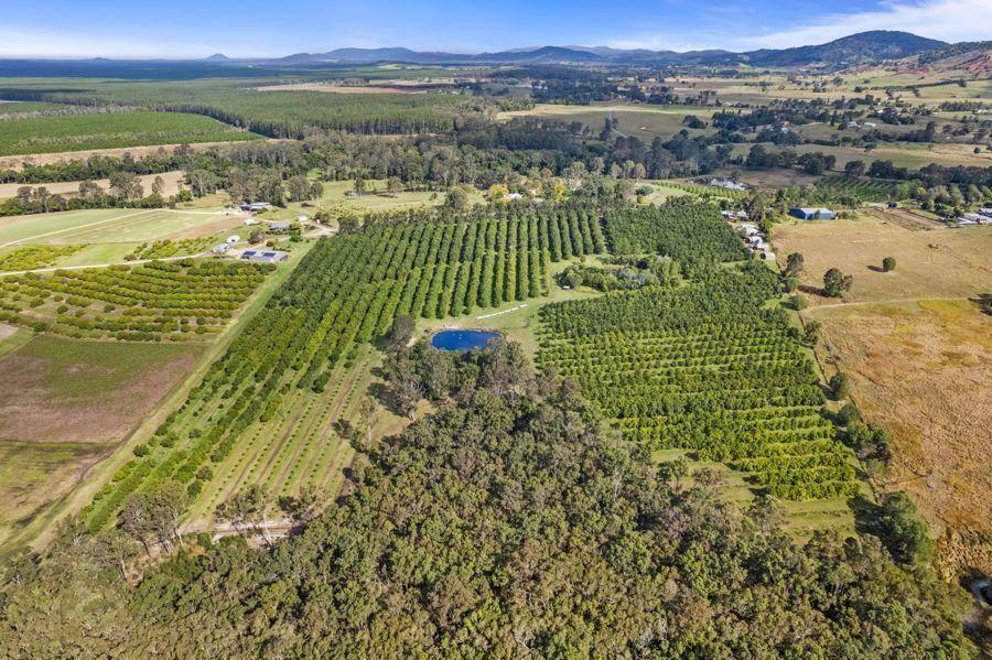 Macadamia Farms For Sale