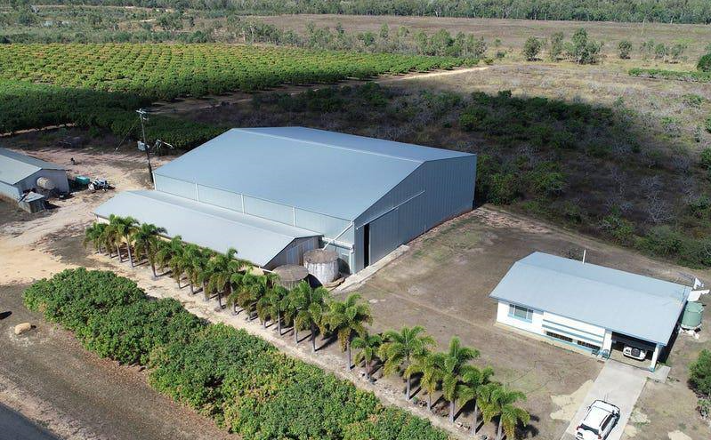 Mango Farms For Sale Australia