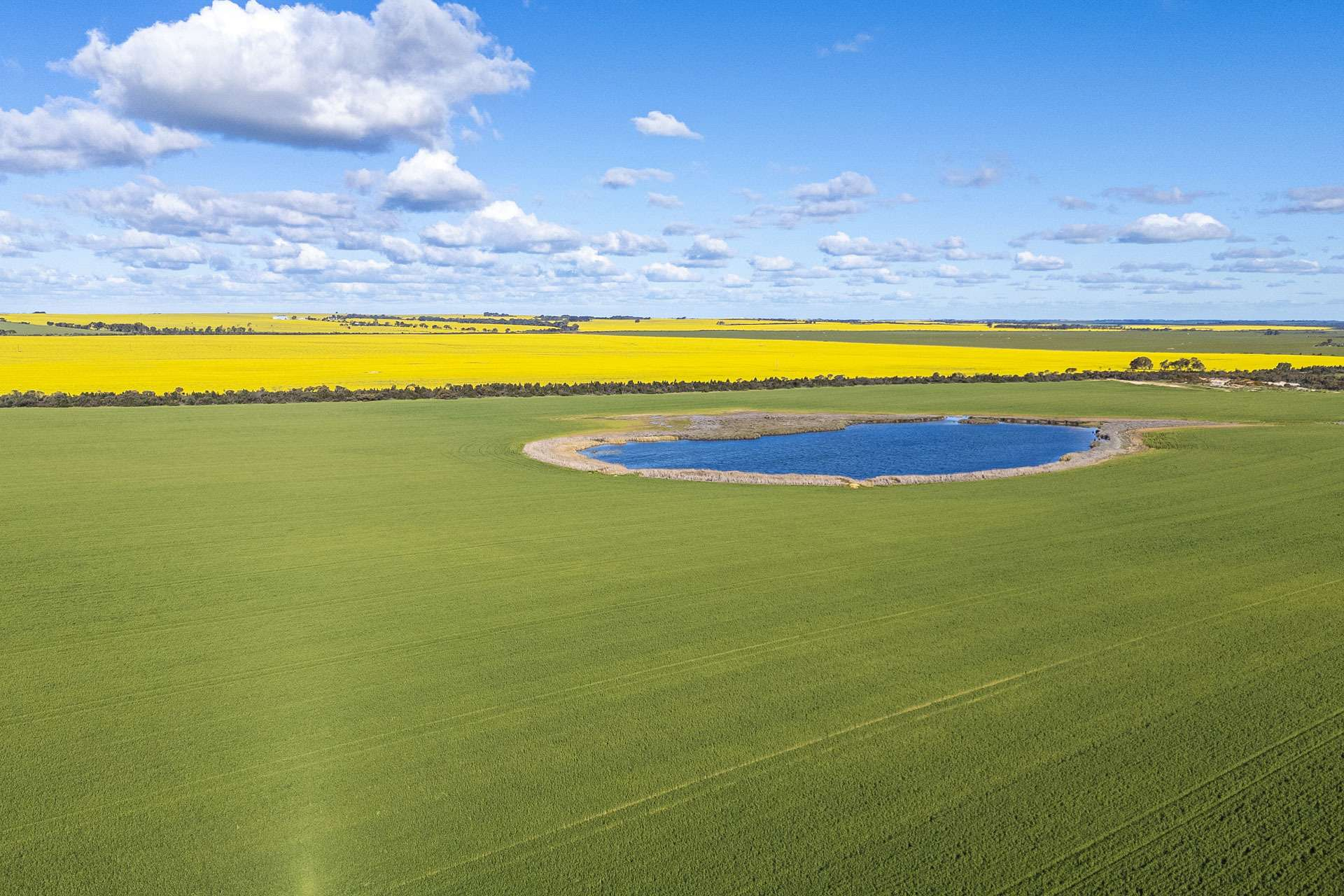 rural property for sale WA
