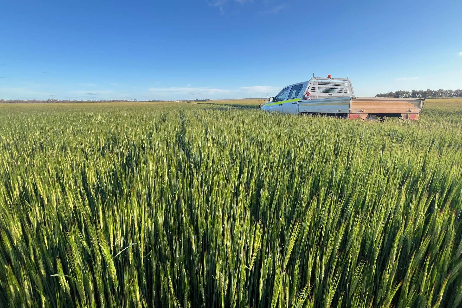 rural property for sale WA