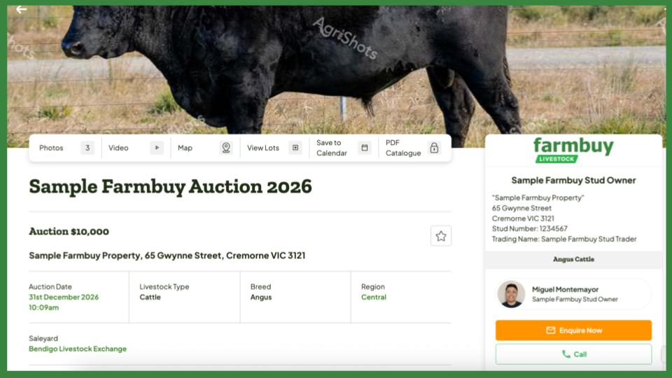 Sample Auction Listing