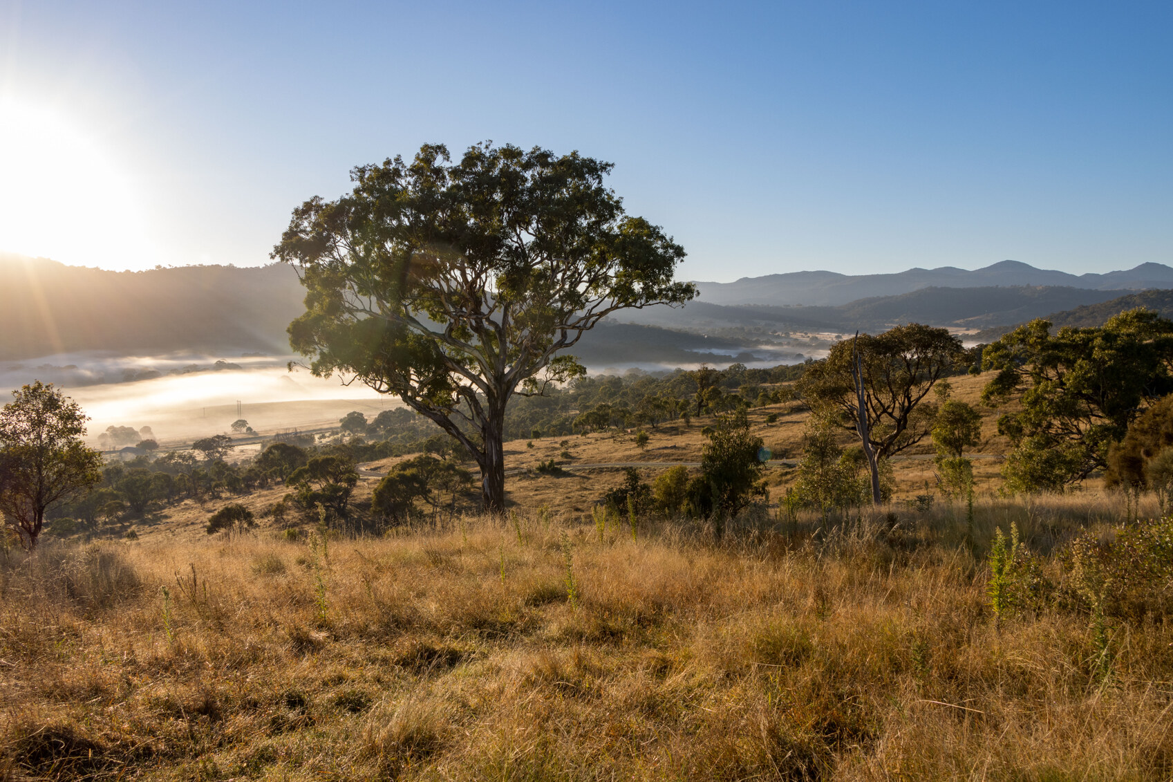 Rural Property For Sale Canberra AwardWinning Private EcoResort Just 30 Minutes From Canberra