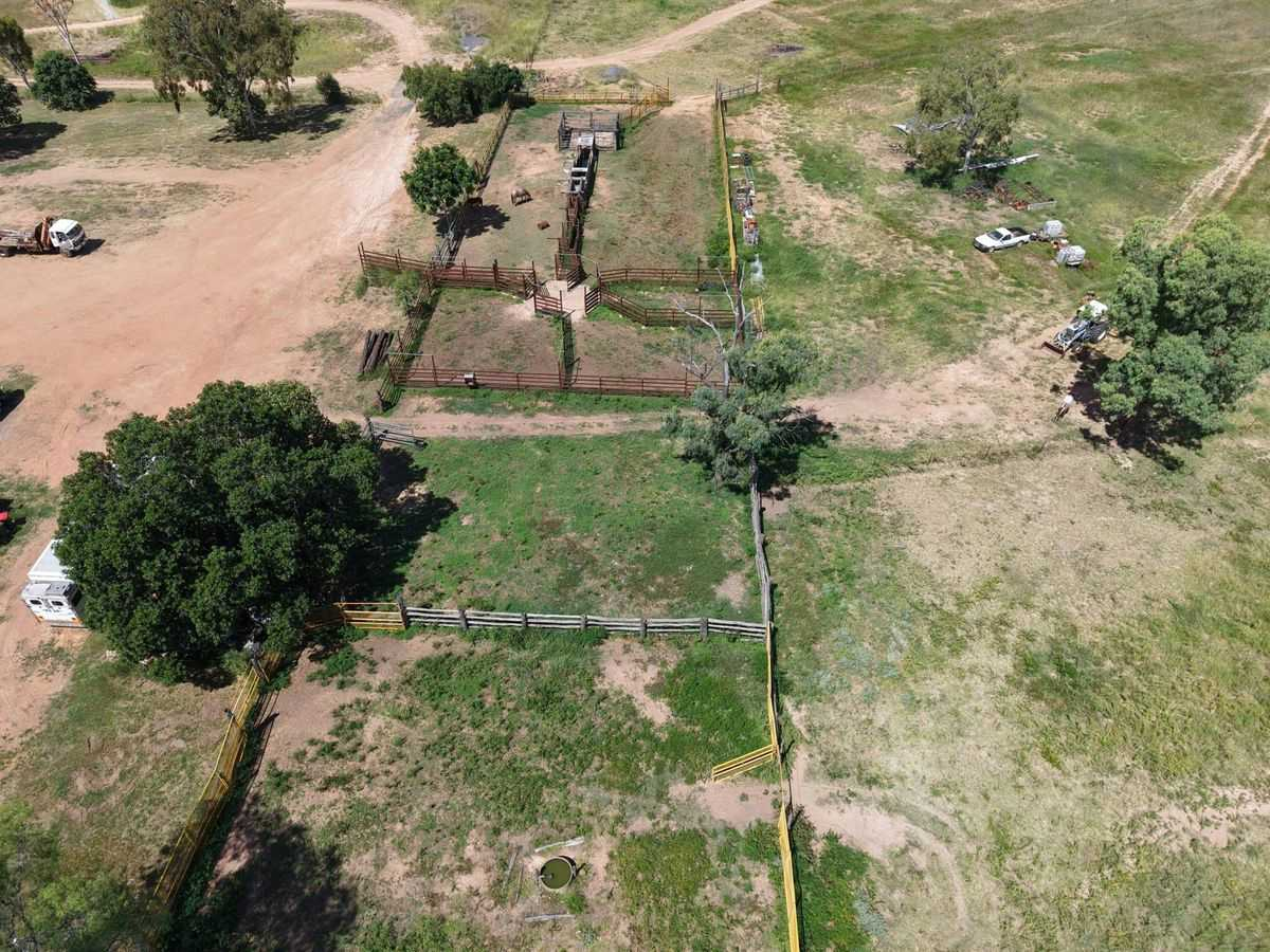 cattle property for sale QLD