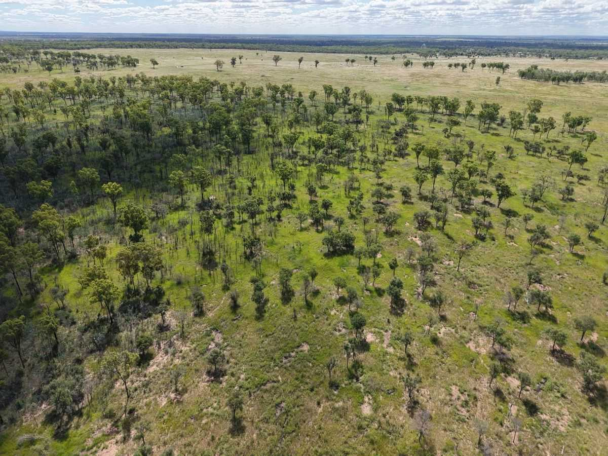 cattle property for sale QLD