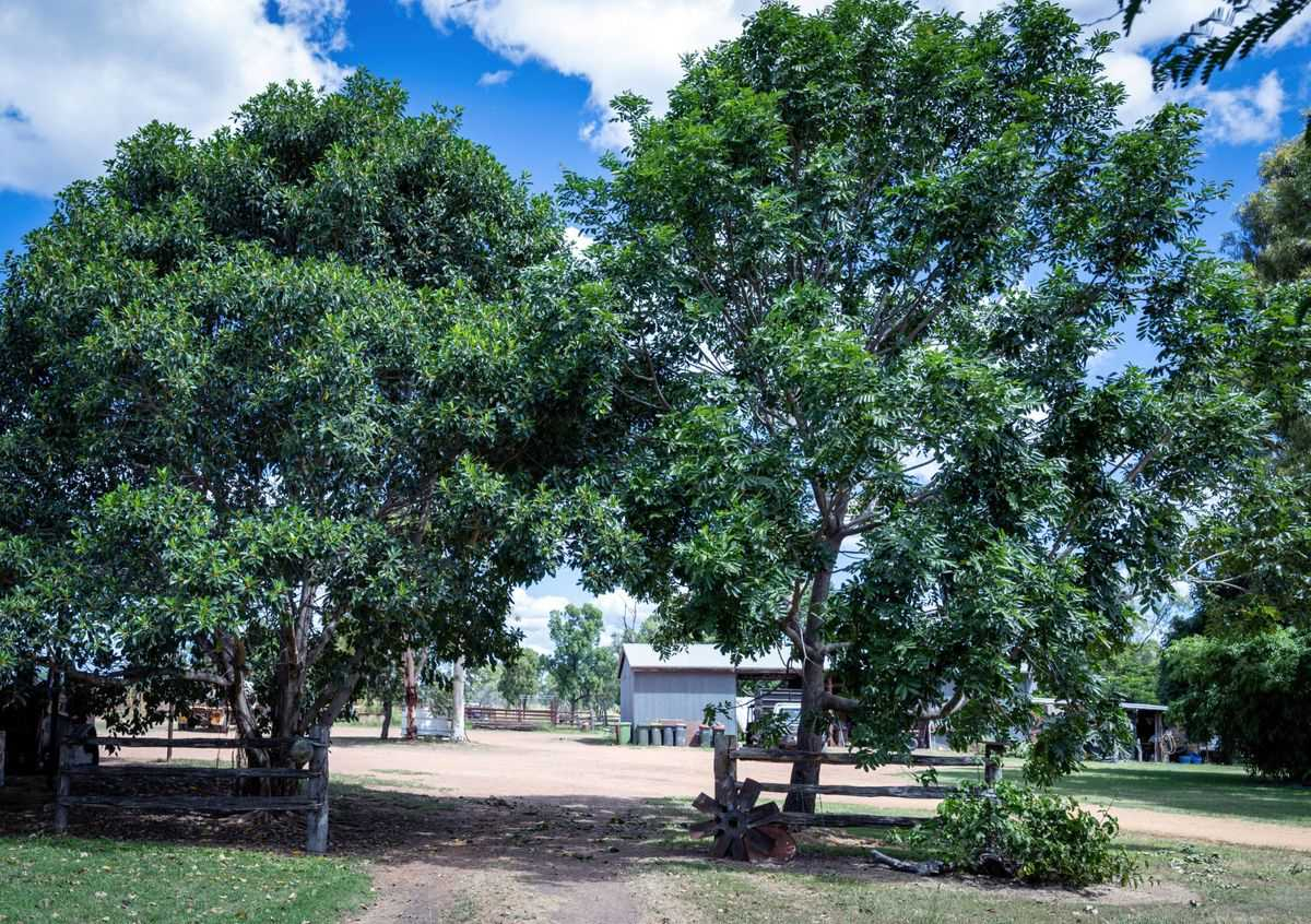 cattle property for sale QLD