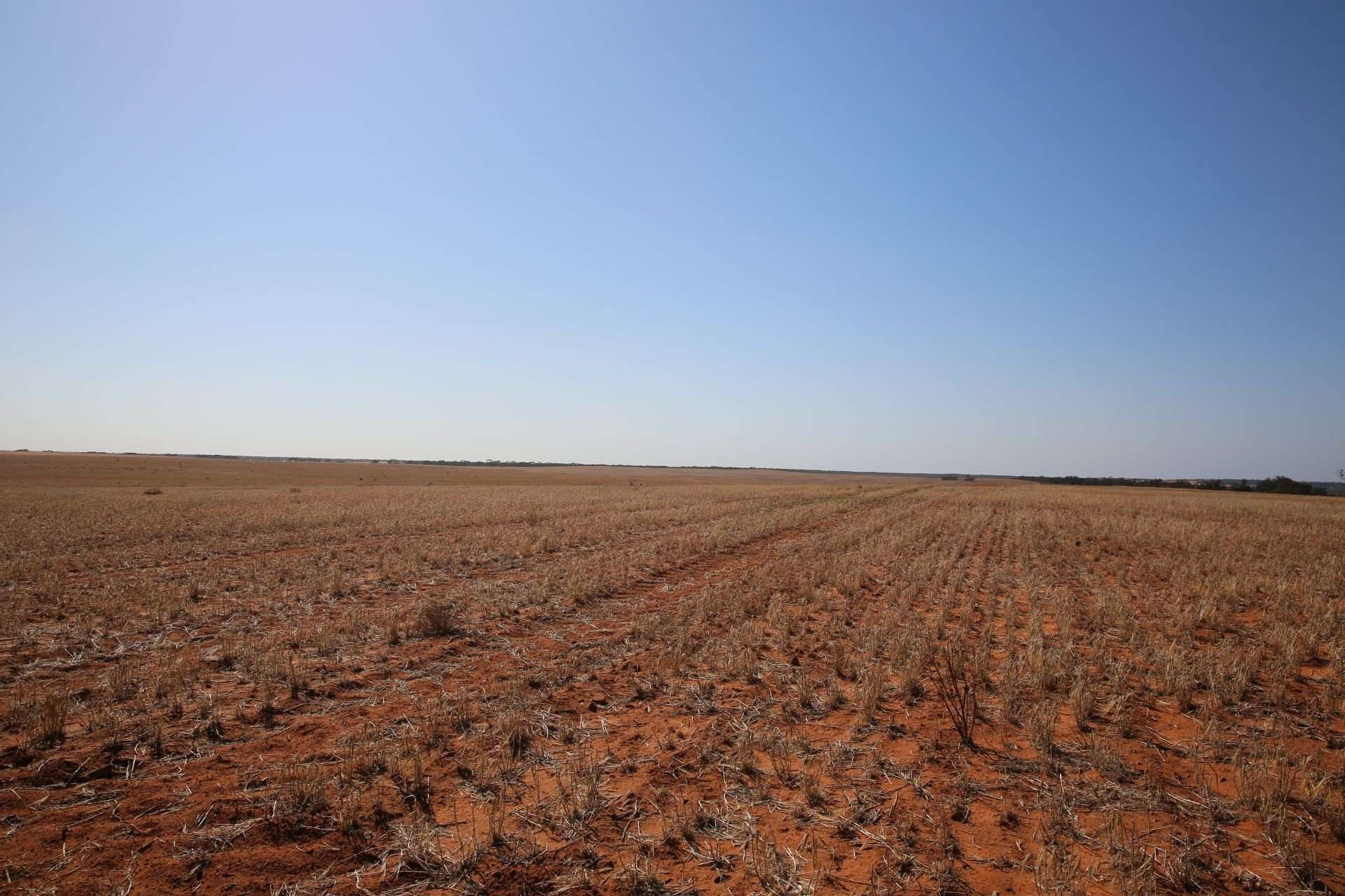 rural property for sale NSW