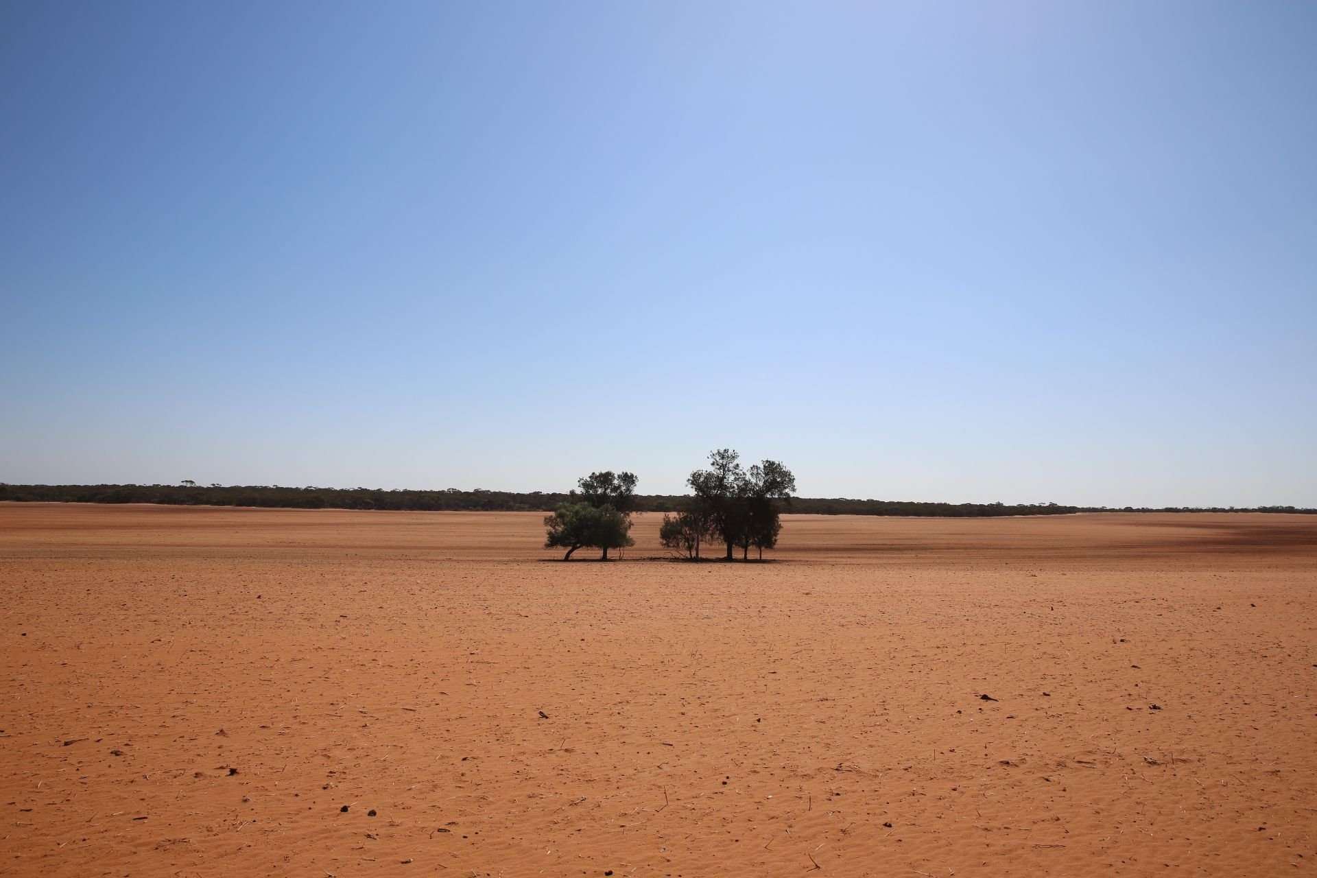 rural property for sale NSW