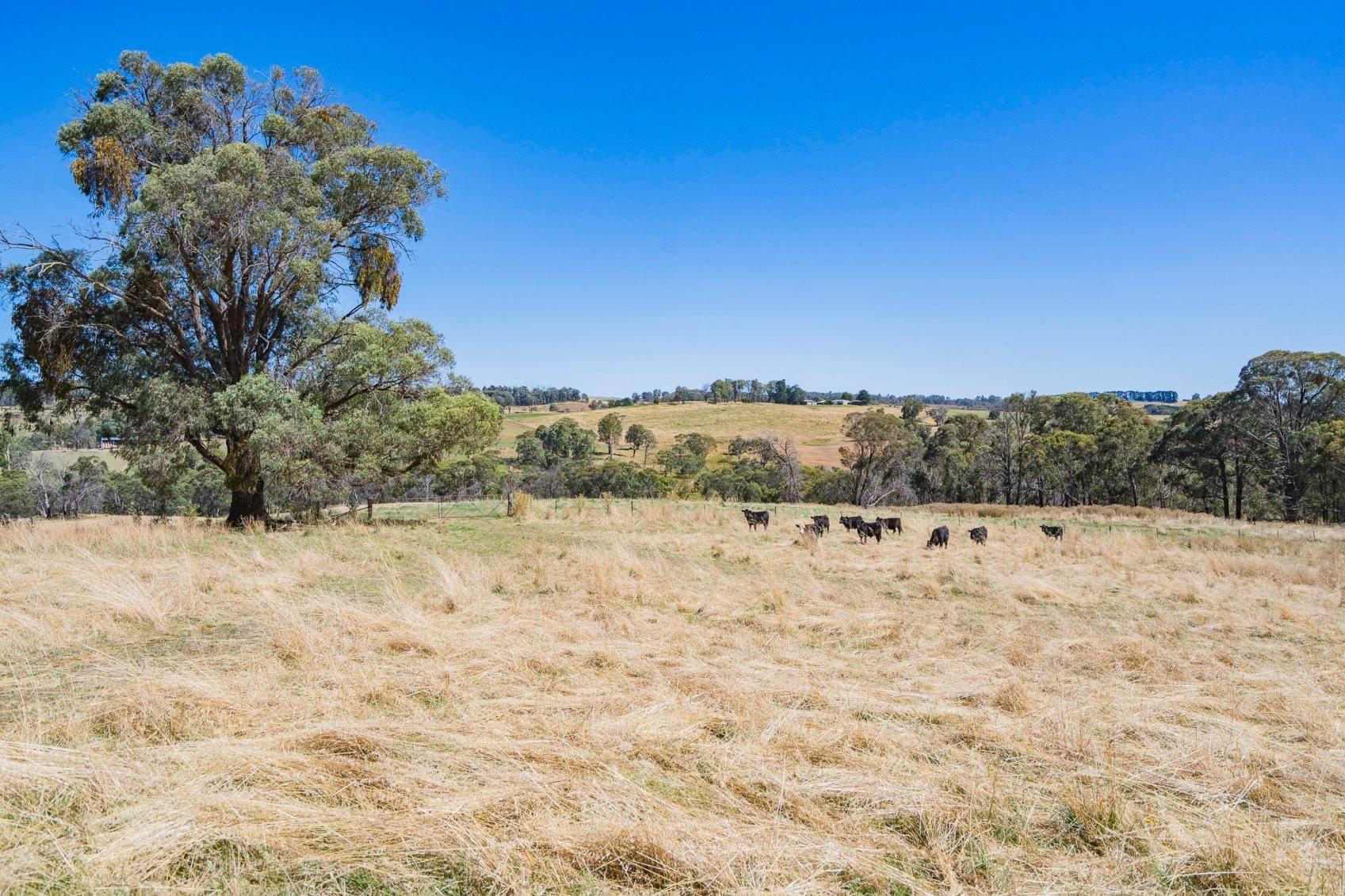 Rural Property For Sale NSW