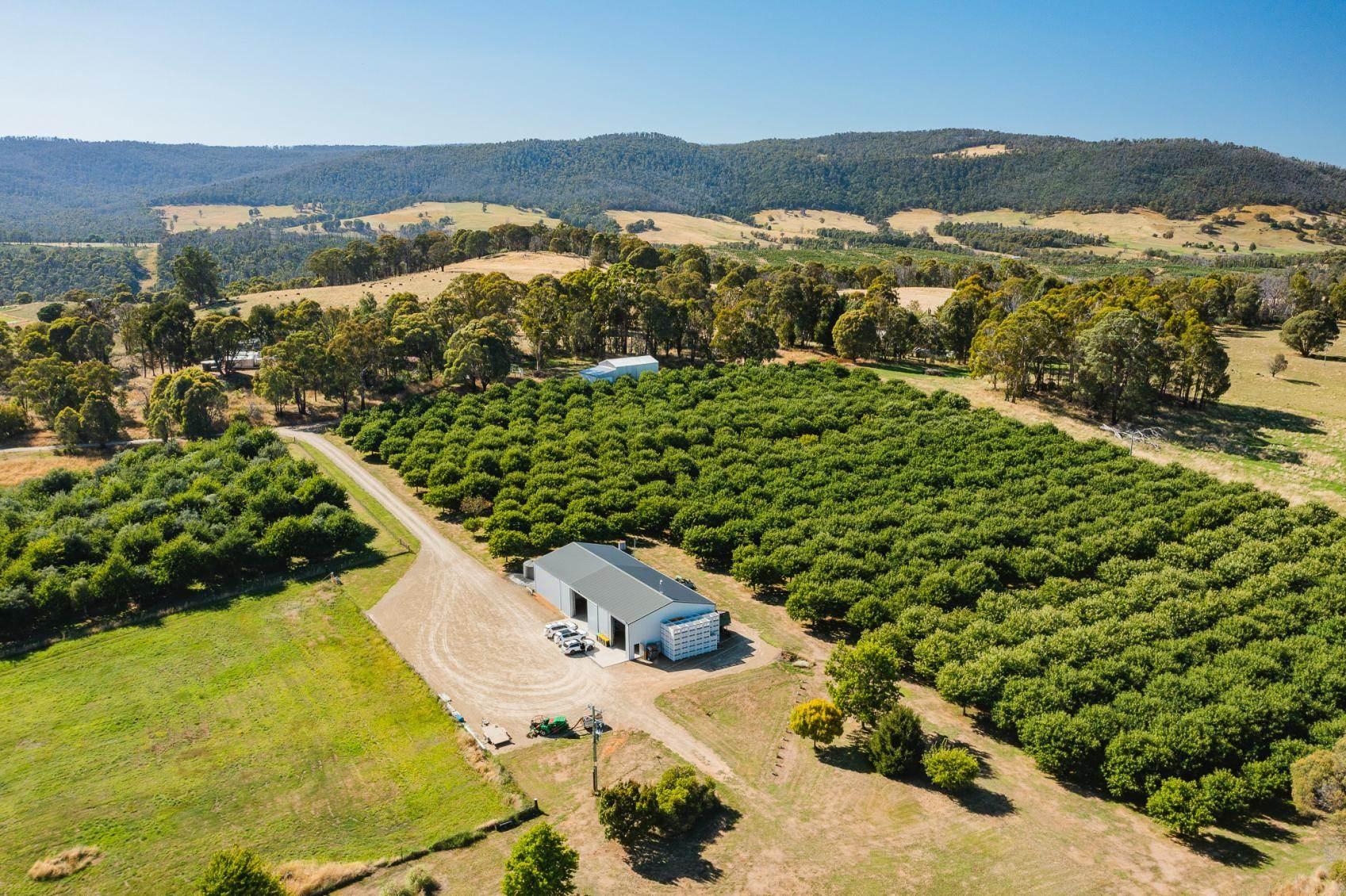 Rural Property For Sale NSW