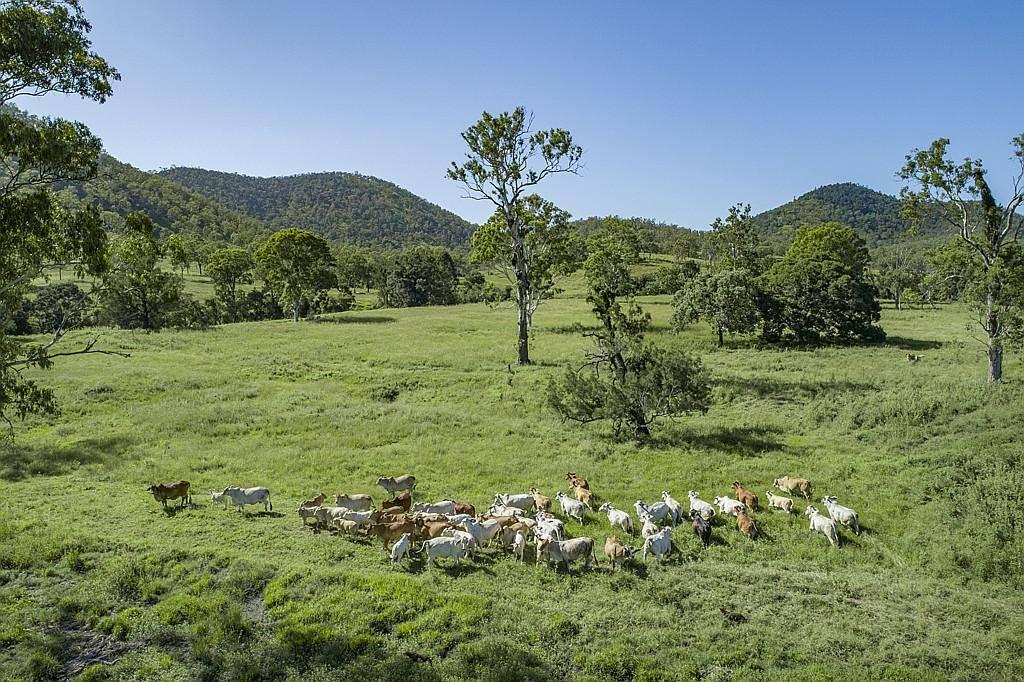 Most Viewed Rural Properties For Sale Australia 2022