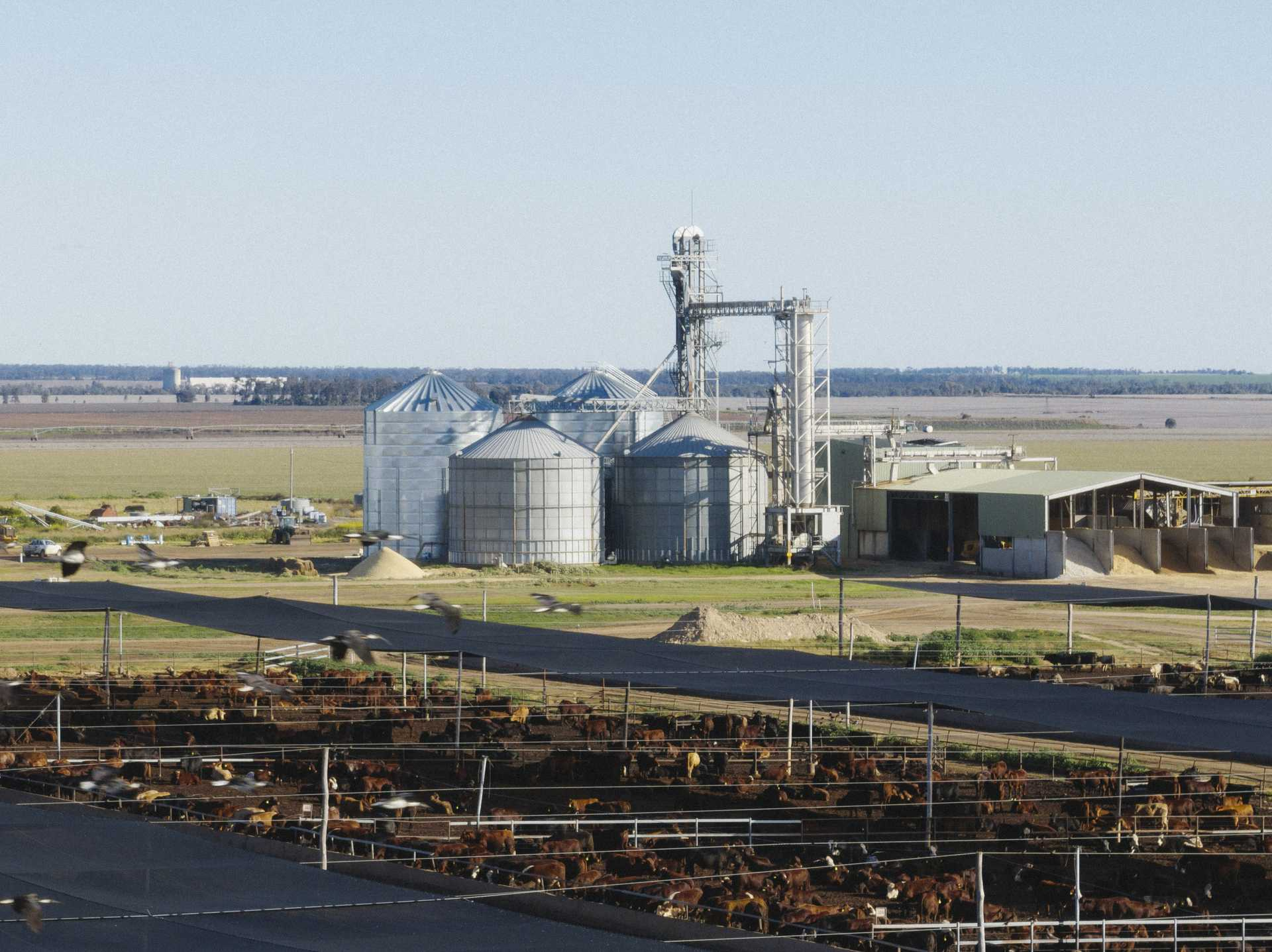cattle property for sale NSW